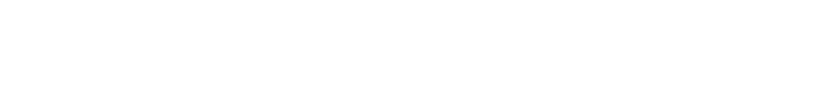 logo 768x96